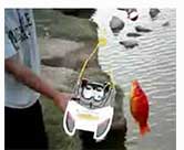 Fun times summer rc fishing catching the giant red fish with the Luckystrike